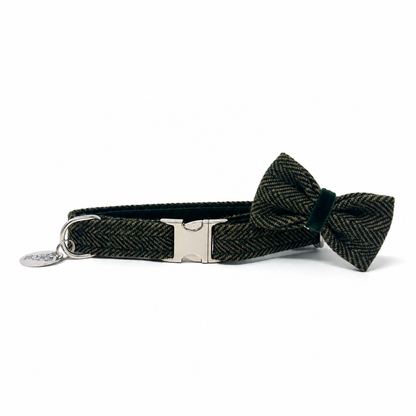 Luxury Dog Collar - Kenmore Design - Glenlyon Collection