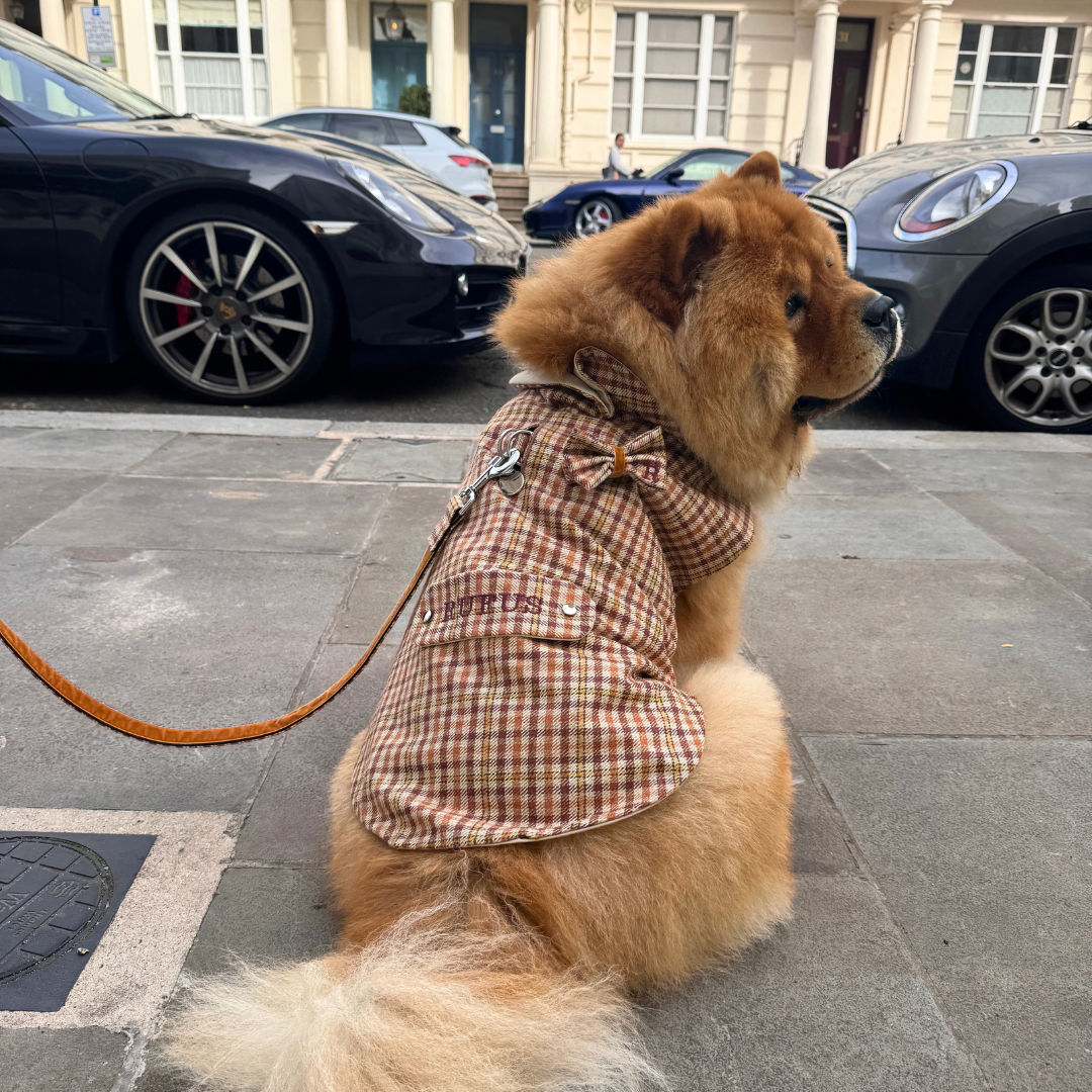 The Atholl Design - Dog Coat - Glenlyon Collection