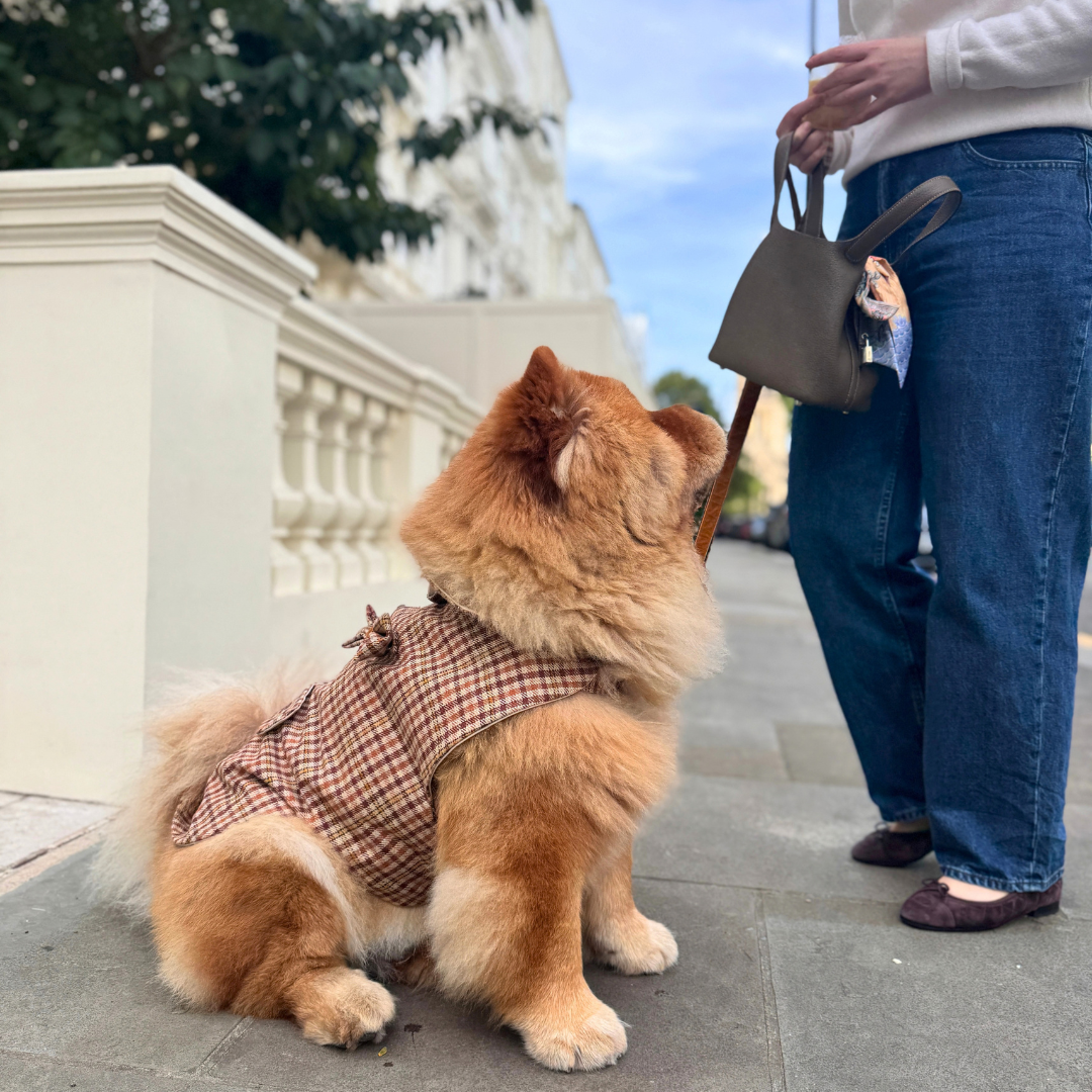 The Atholl Design - Dog Coat - Glenlyon Collection