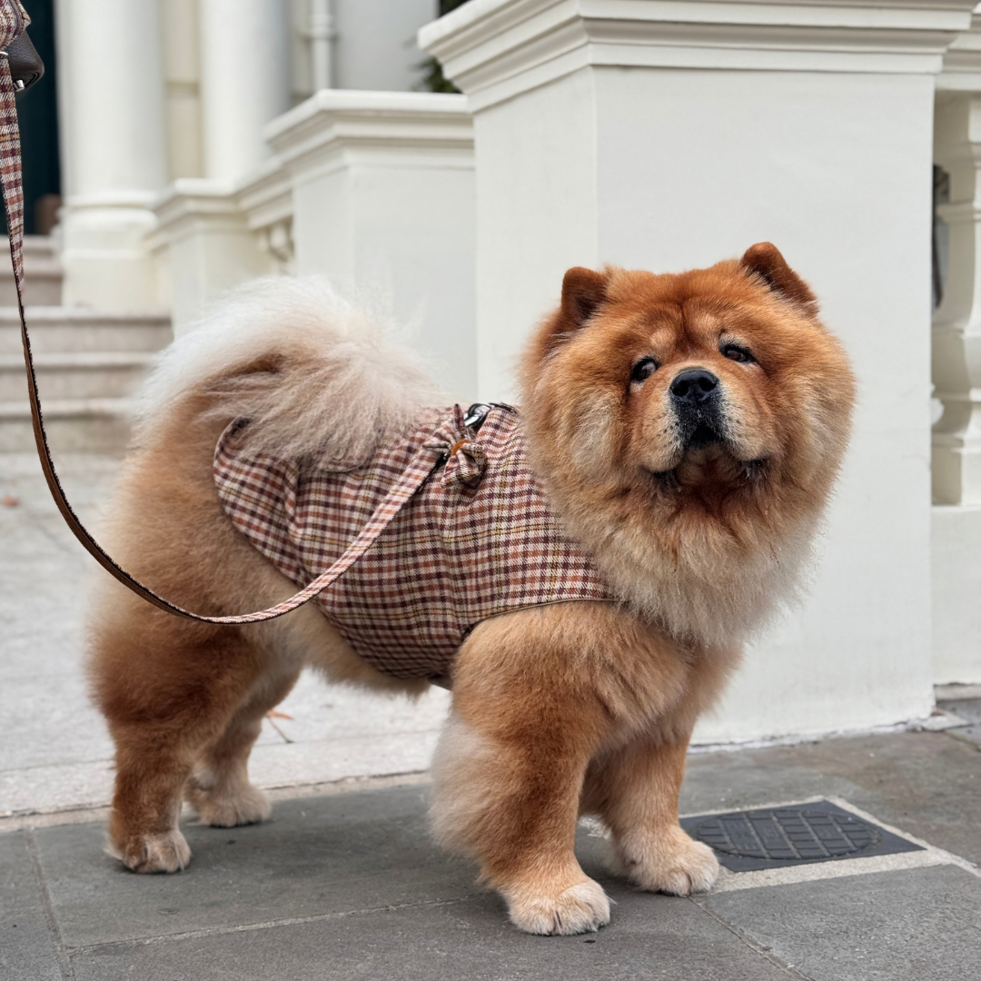 The Atholl Design - Dog Coat - Glenlyon Collection