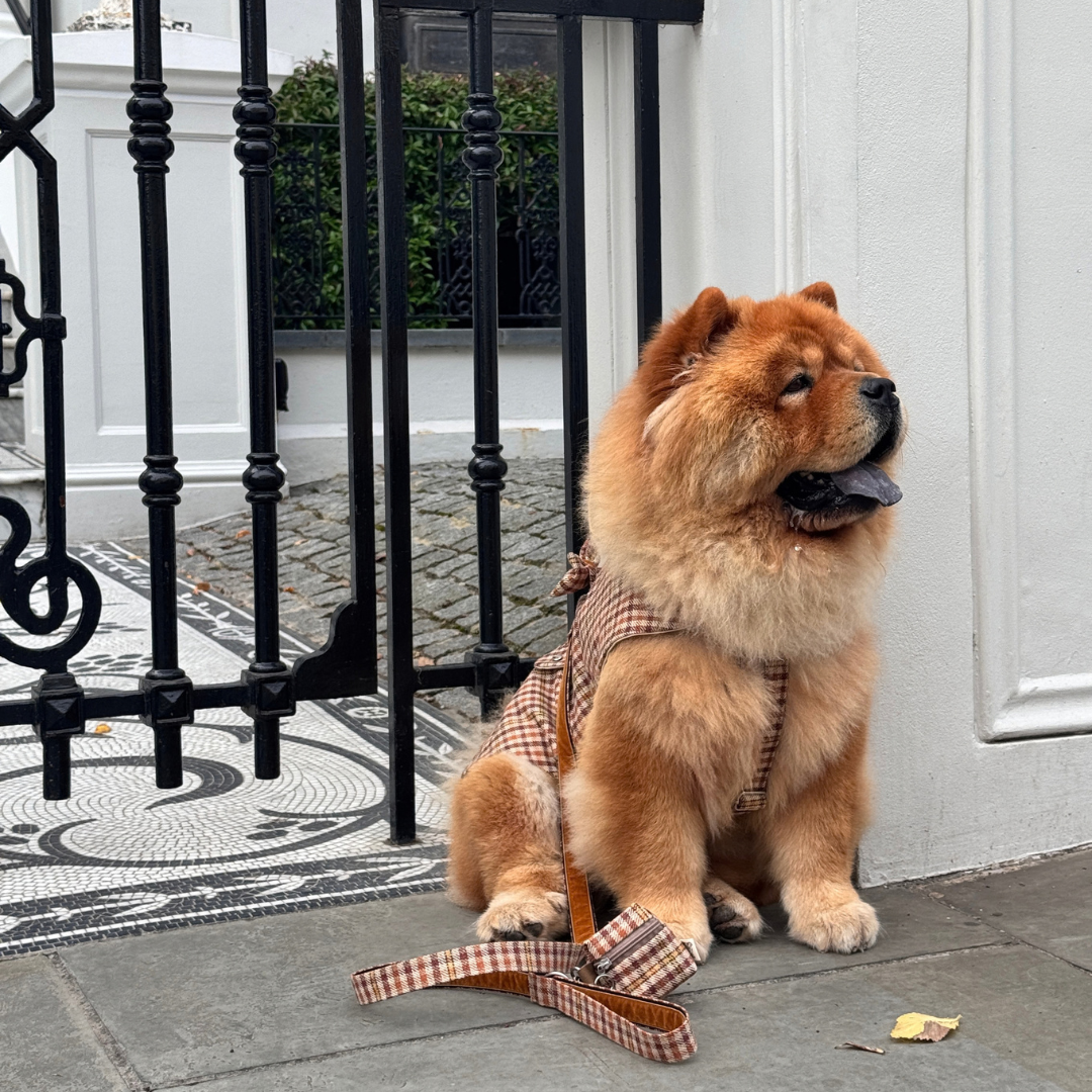 The Atholl Design - Dog Coat - Glenlyon Collection