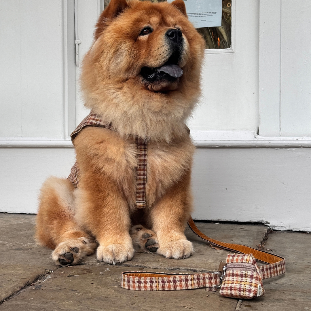 The Atholl Design - Dog Coat - Glenlyon Collection