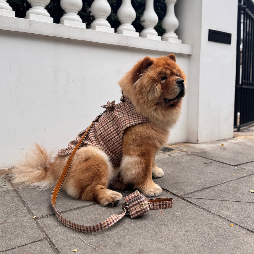 The Atholl Design - Dog Coat - Glenlyon Collection