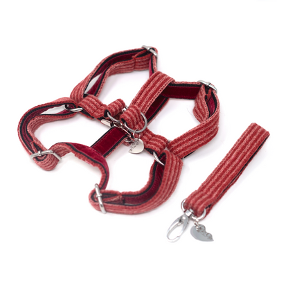 A Bond Like No Other - Luxury Dog Harness