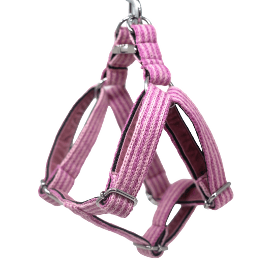 Sugarplum - Tutti Collection - Luxury Dog Harness