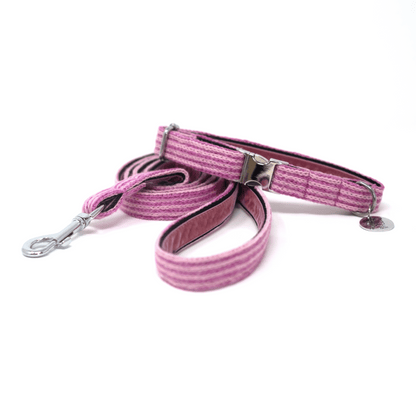 Sugarplum - Tutti Collection - Luxury Dog Collar