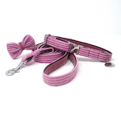 Sugarplum - Tutti Collection - Collar, Lead & Bow Tie Bundle