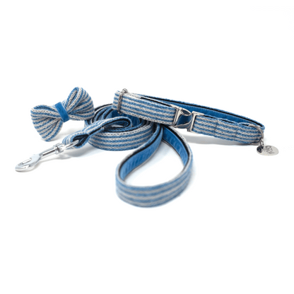 Sorbet - Tutti Collection - Luxury Dog Collar