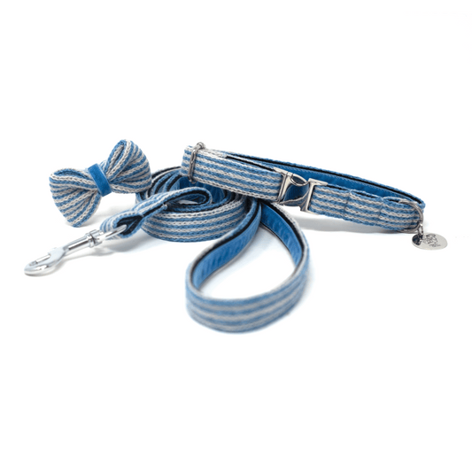 Sorbet - Tutti Collection - Collar, Lead & Bow Tie Bundle