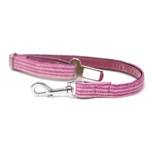 Sugarplum - Tutti Collection - Dog Seatbelt