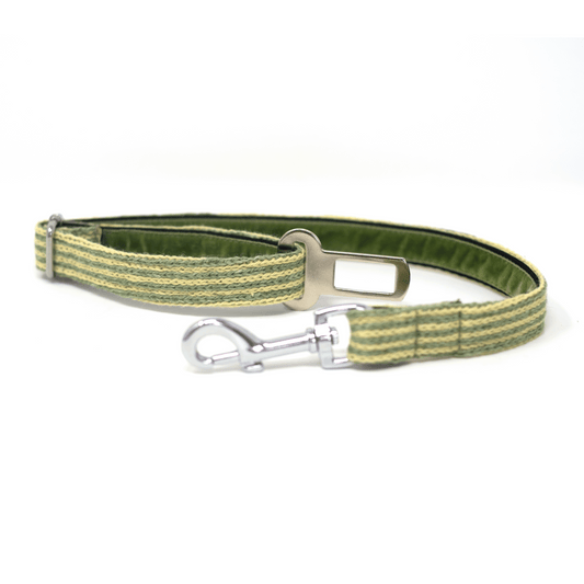Pistachio - Tutti Collection - Dog Seatbelt