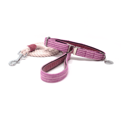 Sugarplum - Tutti Collection - Luxury Dog Collar