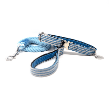 Sorbet - Tutti Collection - Luxury Dog Collar