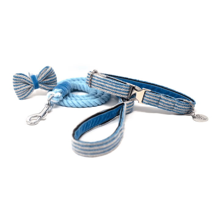 Sorbet - Tutti Collection - Collar, Lead & Bow Tie Bundle