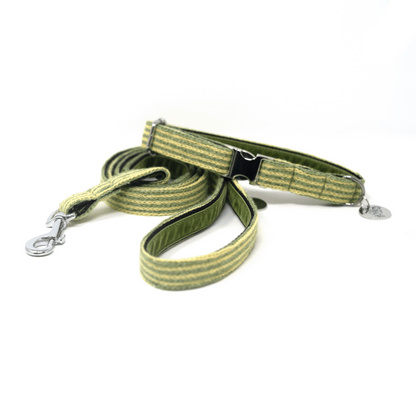 Pistachio - Tutti Collection - Luxury Dog Collar