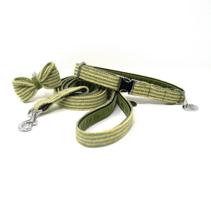 Pistachio - Tutti Collection - Collar, Lead & Bow Tie Bundle