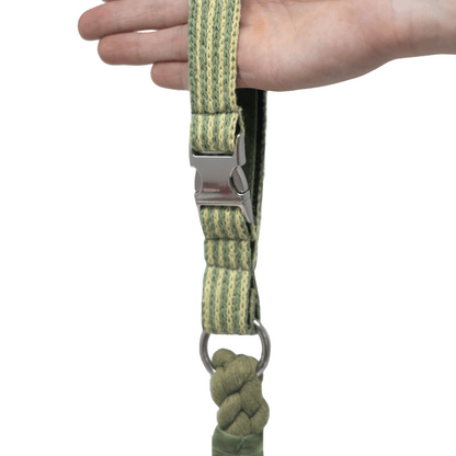 Pistachio - Tutti Collection - Cafe Clip