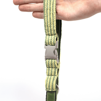 Pistachio - Tutti Collection - Cafe Clip