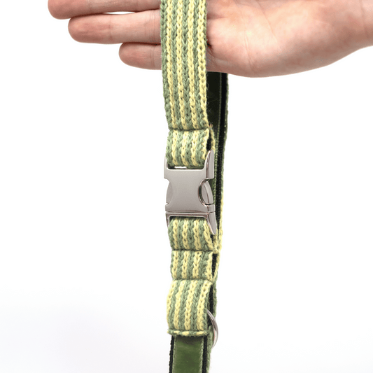 Pistachio - Tutti Collection - Cafe Clip