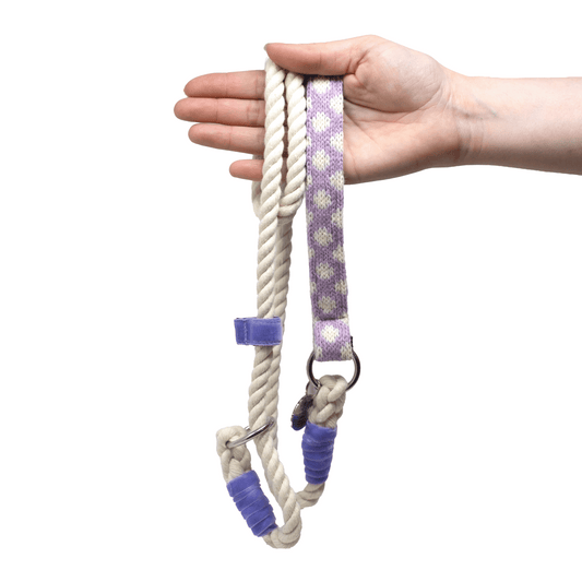 Lavender - Polkadot Collection - Slip Lead