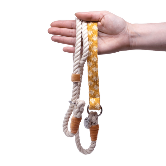 Marigold - Polkadot Collection - Slip Lead