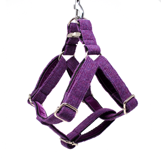 Fancy dog sales harnesses for sale