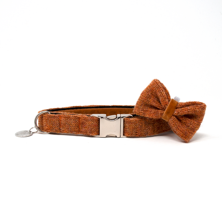 Copper - Autumn/Winter '23 Collection - Luxury Dog Collar