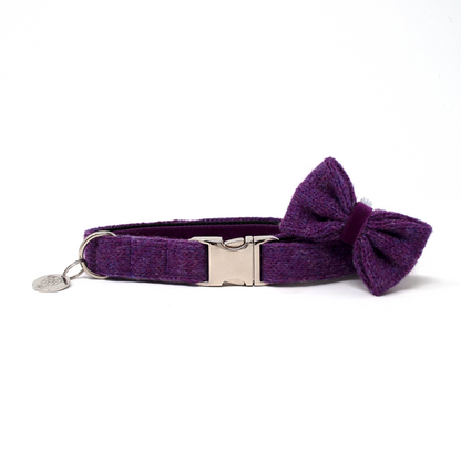 Parma - Autumn/Winter '23 Collection - Luxury Dog Collar