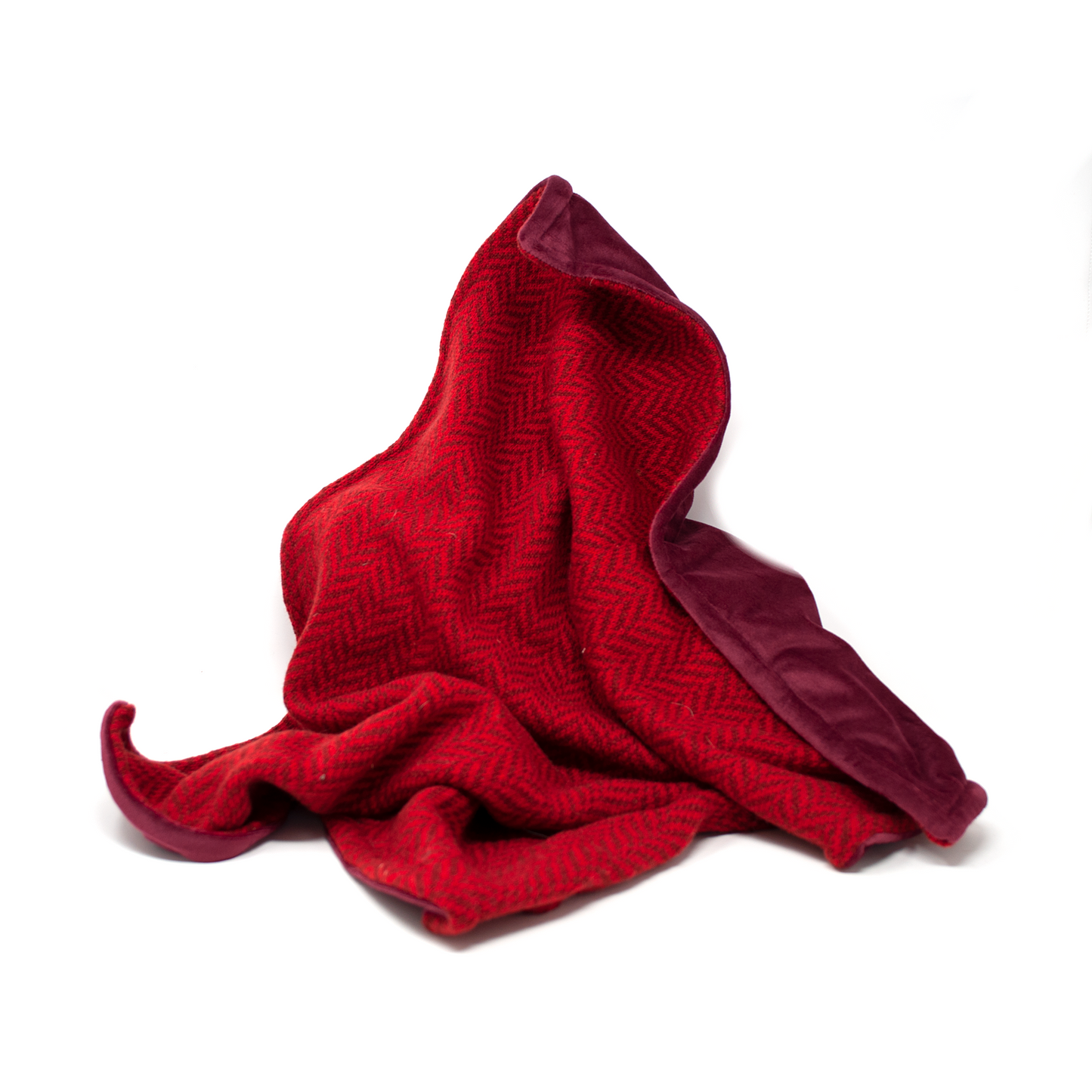Poppy - Luxury Dog Blanket