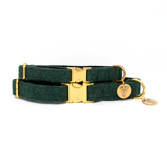 Tundra - Holly Collection - Puppy Pack