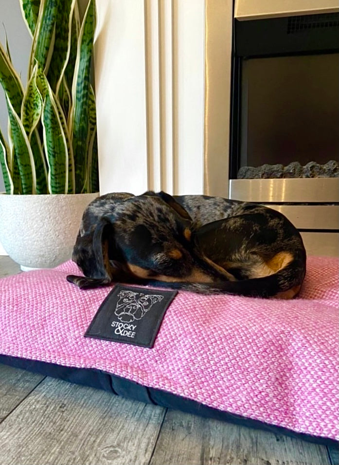 Green & Dove - Harris Design - Luxury Dog Bed