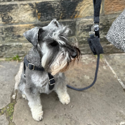Charcoal - Autumn/Winter '23 Collection - Poo Bag Holder
