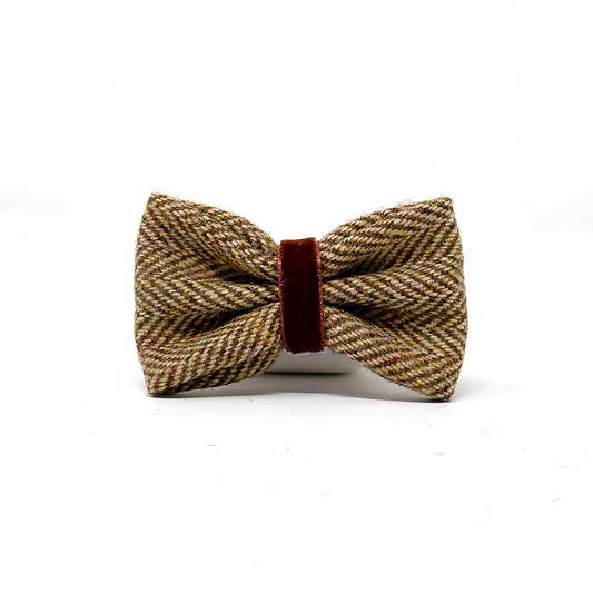 Glenlyon Collection - Dog Bow Tie