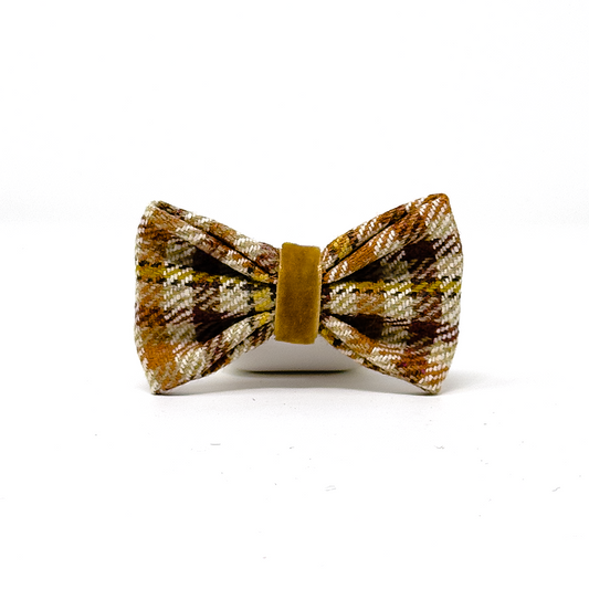 Glenlyon Collection - Dog Bow Tie