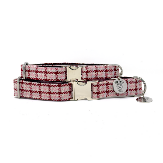 Glenlyon Collection - Puppy Pack