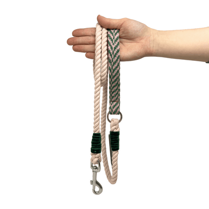 Wicked Inspired - Luxury Dog Collar