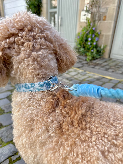 Porcelain & Turquoise - Spring/Summer '23 Collection - Luxury Dog Harness