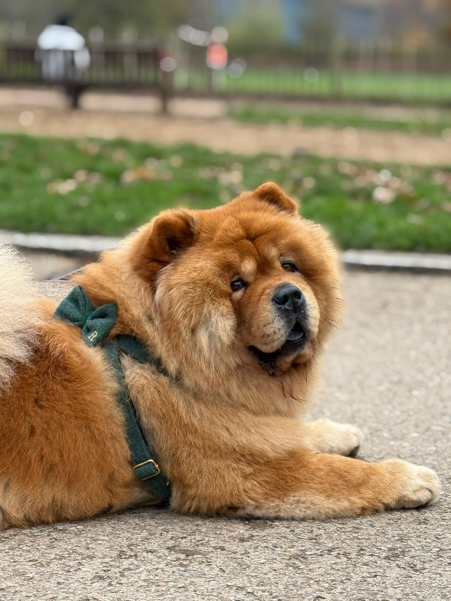 IMG_8562.JPG__PID:7d47cb87-7a57-4e1f-9a0f-4720a29611a4