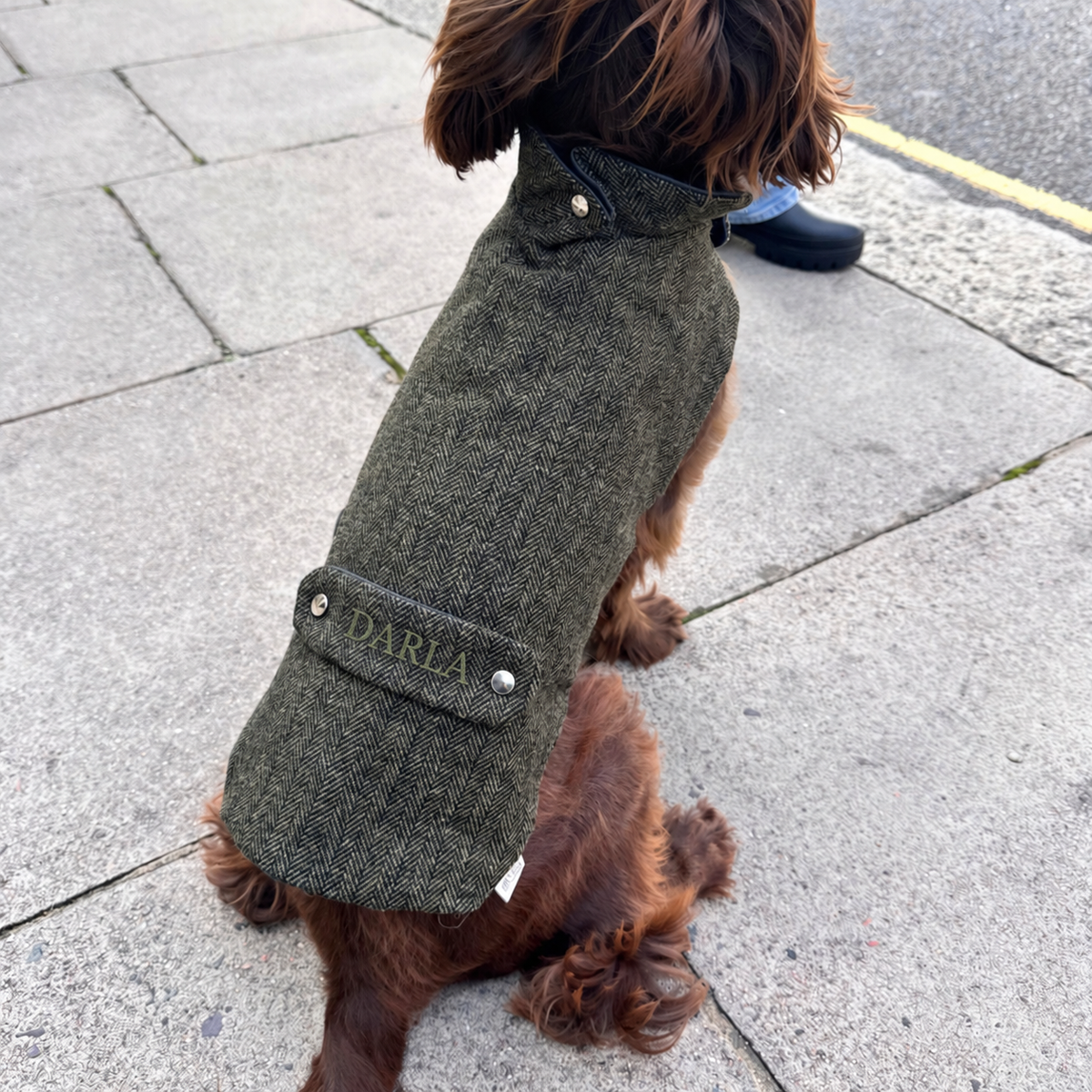 The Kenmore Design - Dog Coat - Glenlyon Collection