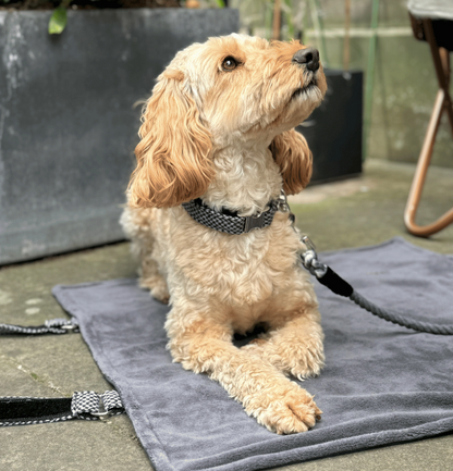 Black & Grey - Bespoke Gift Hamper