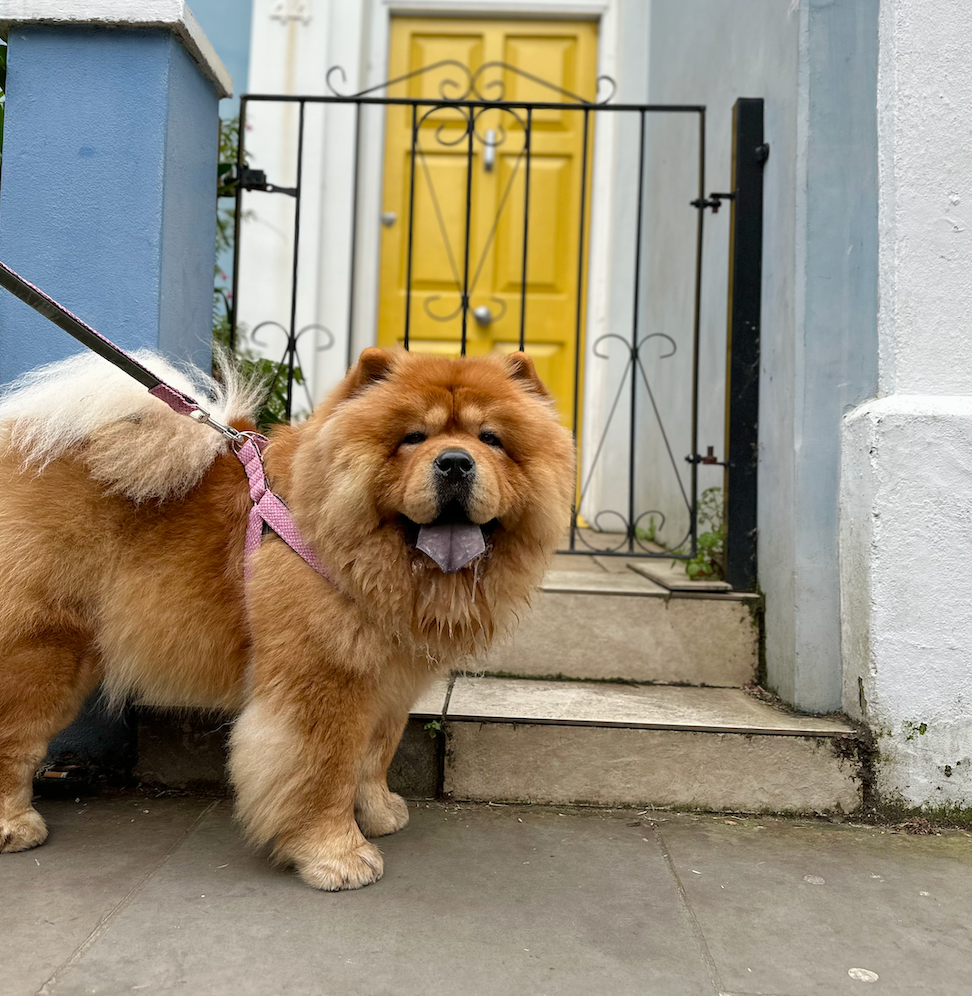 Pink & Dove - Bespoke Gift Hamper