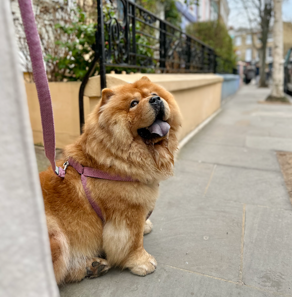 Pink & Dove - Bespoke Gift Hamper