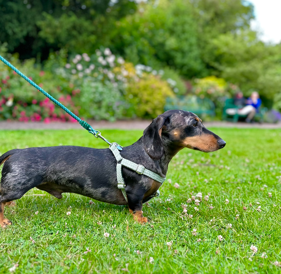 Green & Dove - Bespoke Gift Hamper