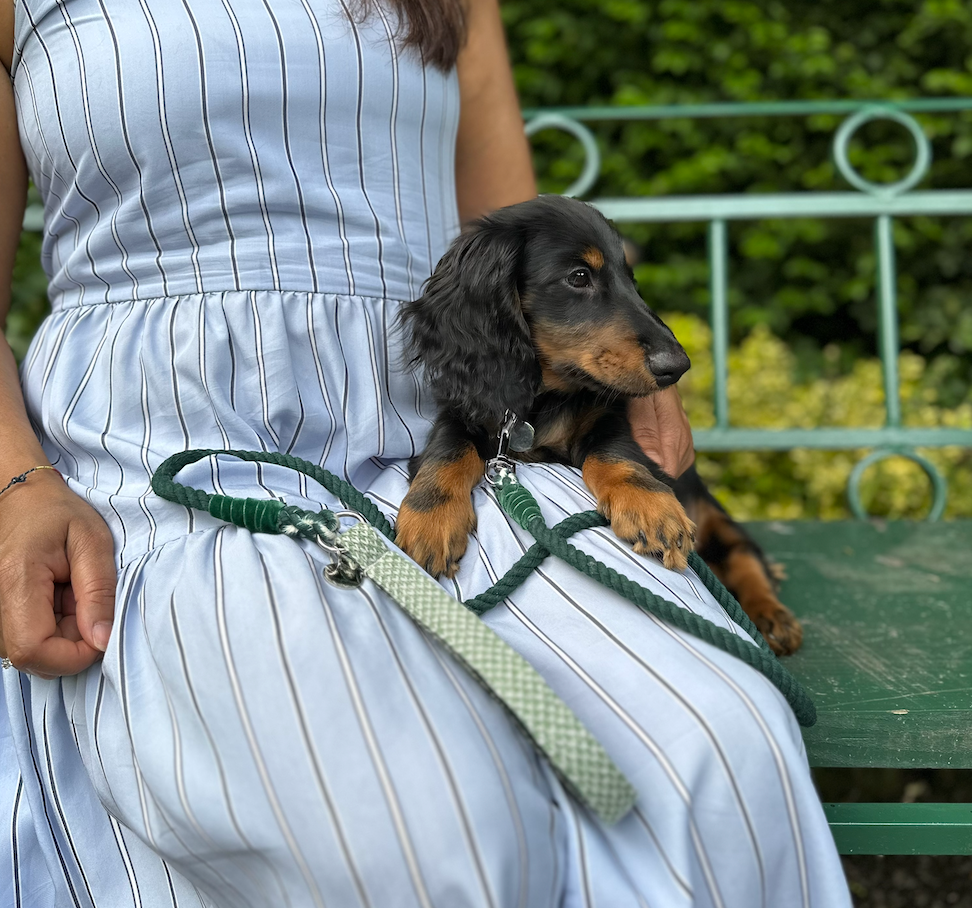 Green & Dove - Bespoke Gift Hamper