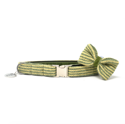 Pistachio - Tutti Collection - Luxury Dog Collar