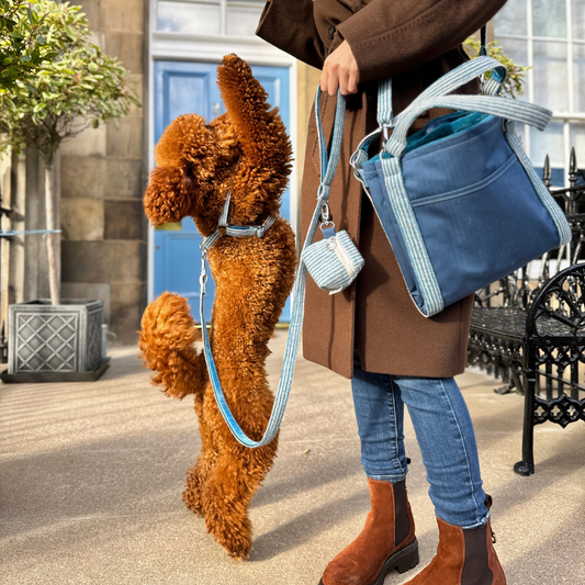 Sorbet - Tutti Collection - Treat Pouch