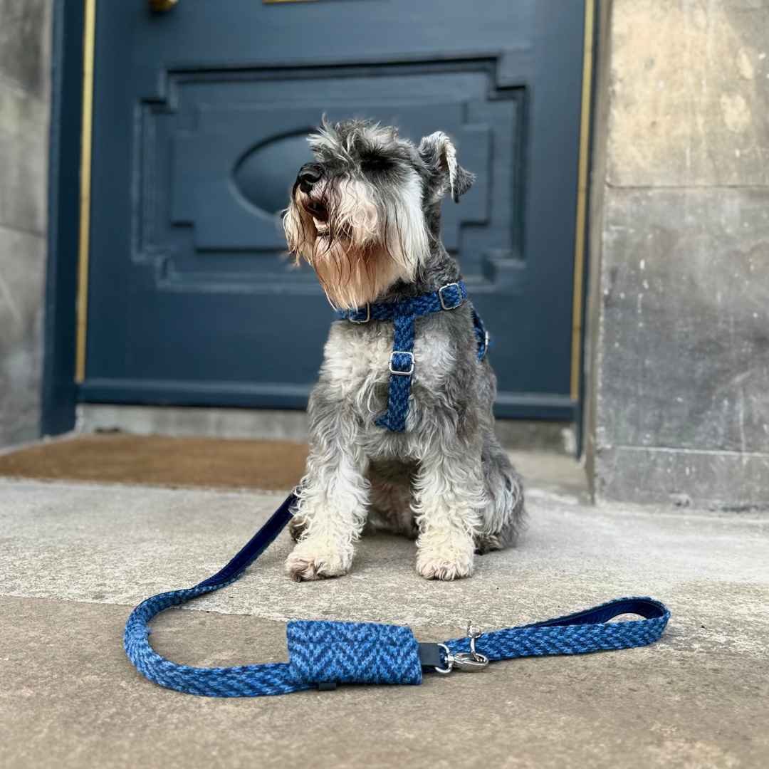 Cobalt - Luxury Dog Harness