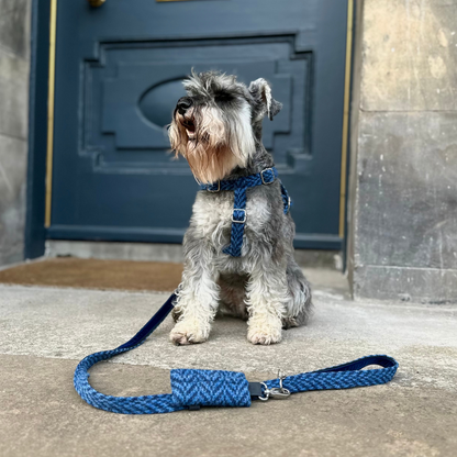 Cobalt - Luxury Dog Lead