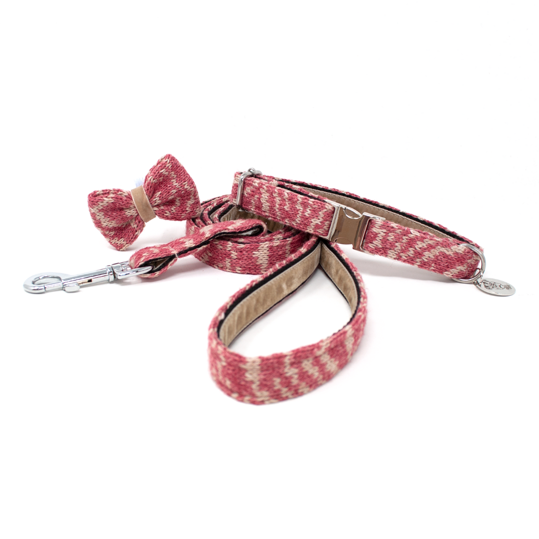 Redcurrant - SS25 Collection - Collar, Lead & Bow Tie Bundle