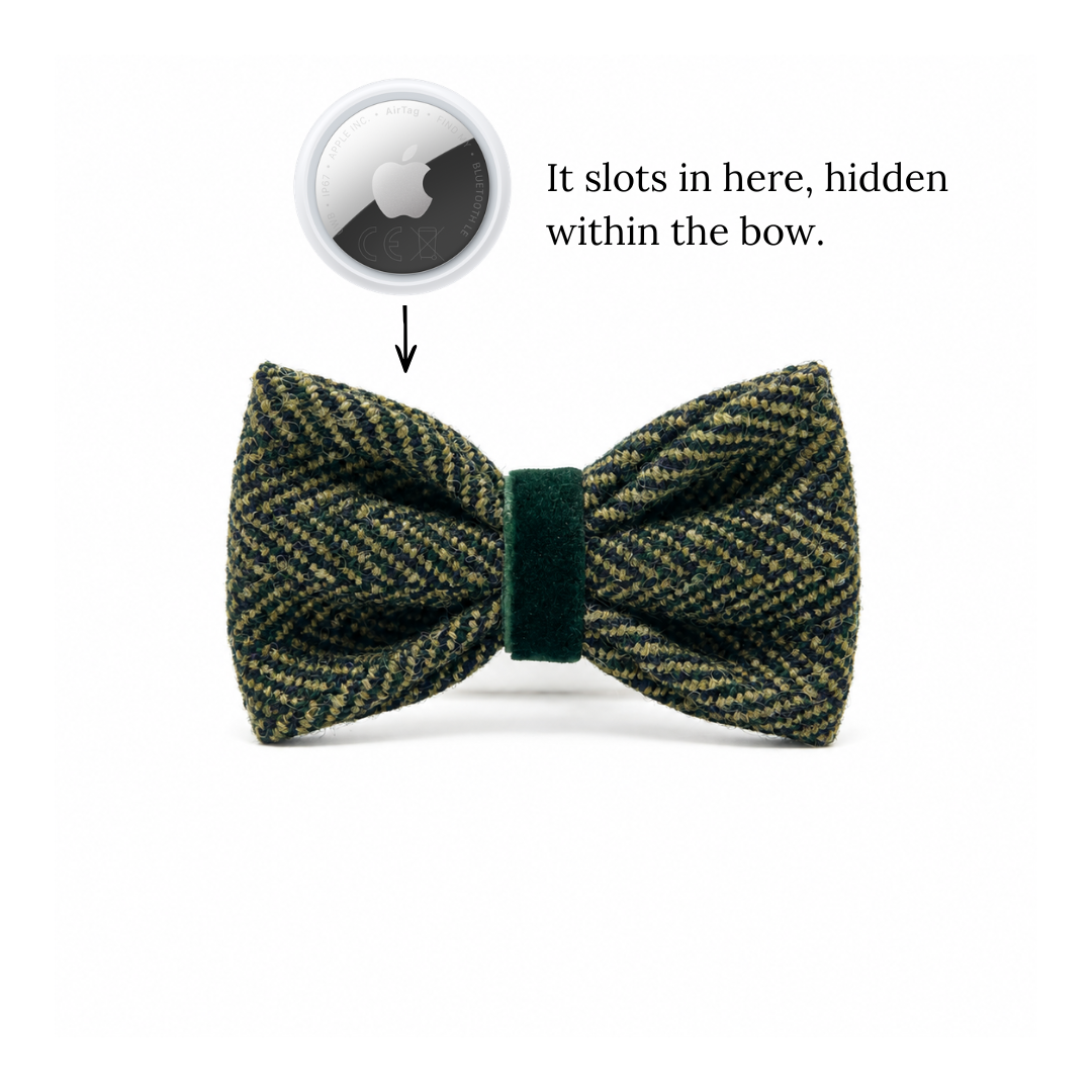 The Kenmore Design - Dog Bow Tie - Glenlyon Collection
